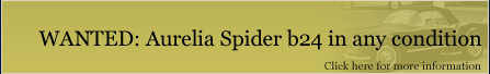WANTED: Aurelia Spider b24